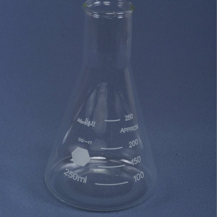 ERLENMAYER (250 ml. Cam)