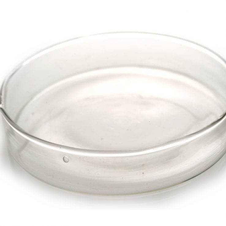 PETRİ KABI (Ø 100 mm. Cam)